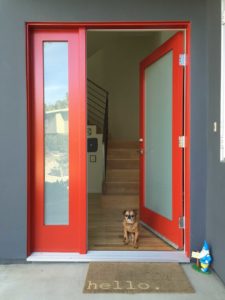 Front Door repair